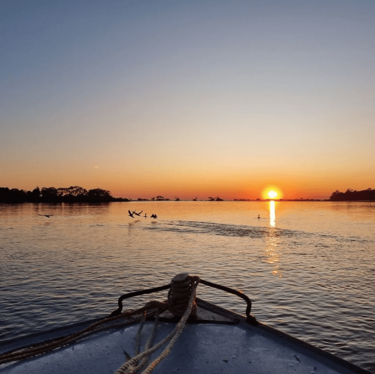 Screen Shot 2024-02-28 at 1.14.38 pm